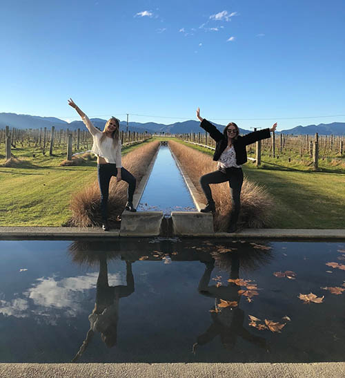 luxury car wine tour marlborough